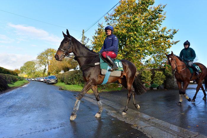 Champion Chase favourite Energumene and Imran Haider heading for the gallops at Willie Mullins' yard 