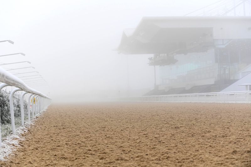 A foggy scene in the straight at Dundalk