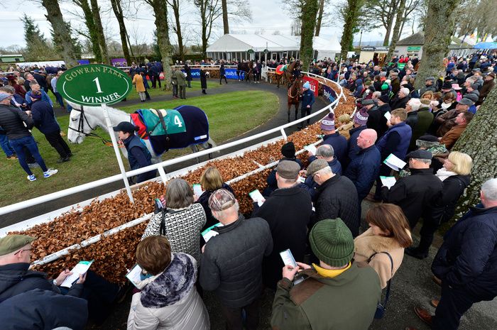 The parade ring at Gowran Park 