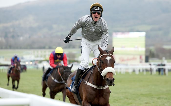 Gold Tweet and Johnny Charron winning Cleeve Hurdle