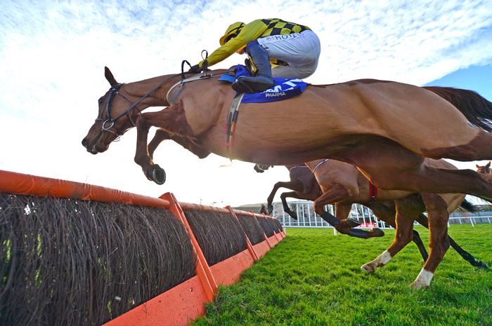 Leopardstown State Man and Paul Townend win the Irish Champion Hurdle