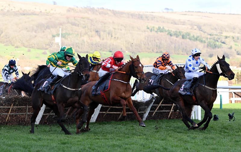 Jazzy Matty, second left, and Risk Belle, left in action at the Cheltenham Festival 