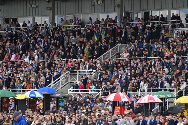 The Fairyhouse crowd on Easter Monday