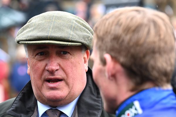 Paul Nicholls trainer of Regent's Stroll