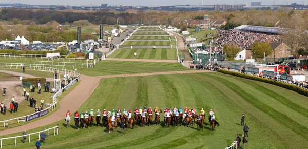 grand national betting offers