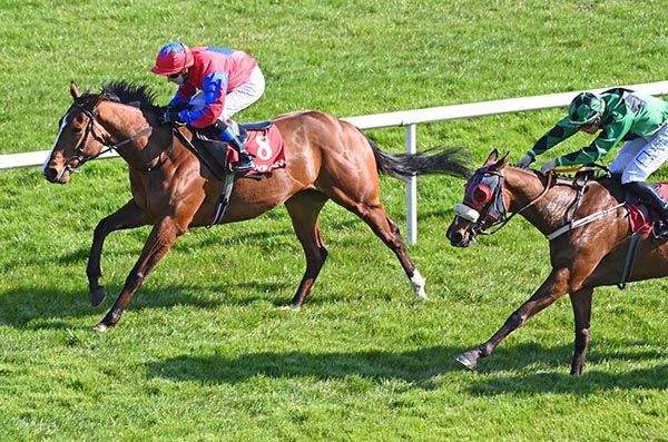 Rock Etoile, far side, wins from a staying-on London Palladium