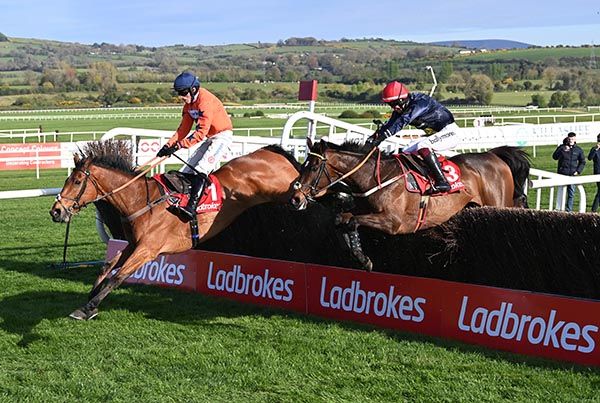 punchestown betting guide