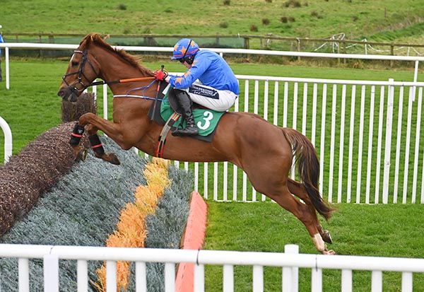 Keith Donoghue steers Full Noise to victory
