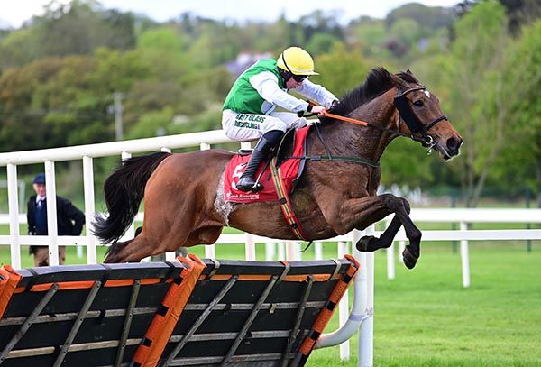 Holiday In Kerry and Conor McNamara win the Cork 
