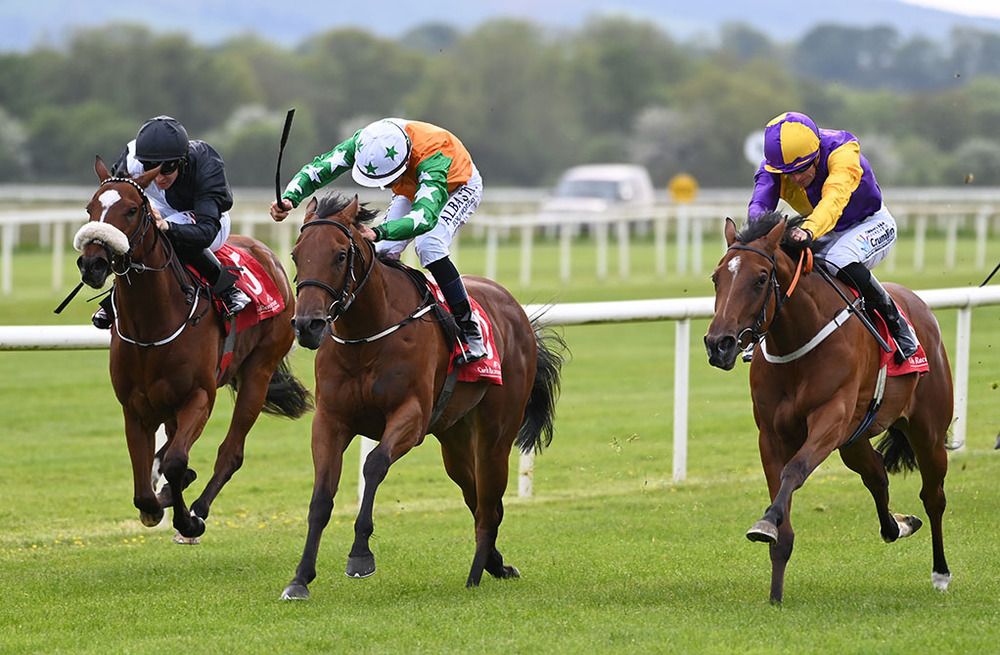 Tiger Belle (centre) is ridden out by Ronan Whelan to beat Jenni (right) and Ashwiyaa