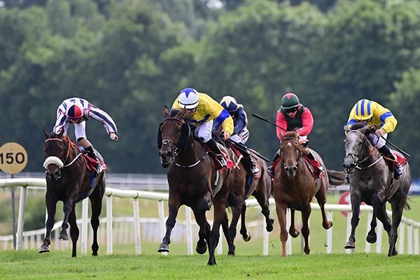 Sea Spray (centre) leads home his rivals under Jamie Powell