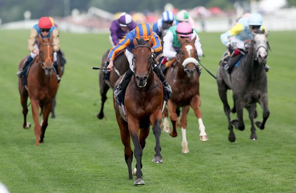 Paddington and Ryan Moore winning The St James' Palace Stakes Royal Ascot 20 6 23 Healy Racing