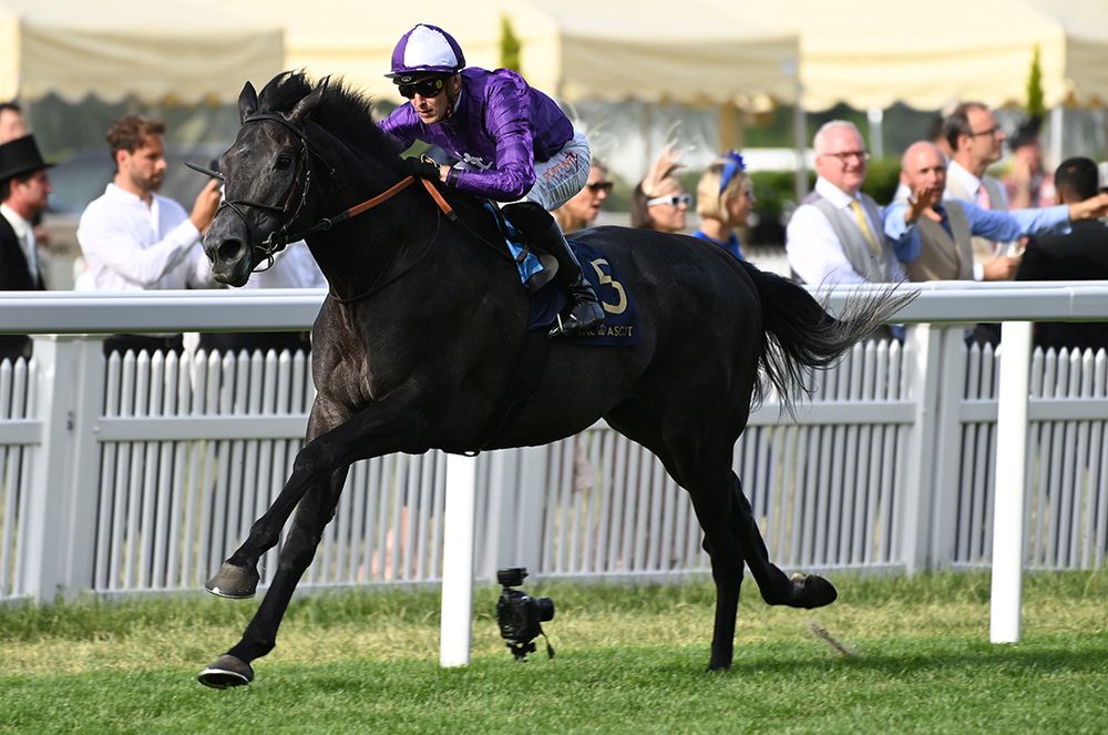 Royal Ascot 23 June 2023 King Of Steel and Kevin Stott win Healy Racing