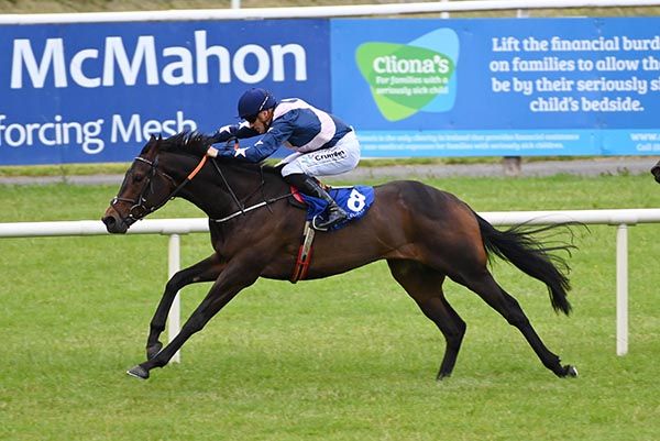 Ethical Diamond and Billy Lee win the Limerick Races Maiden