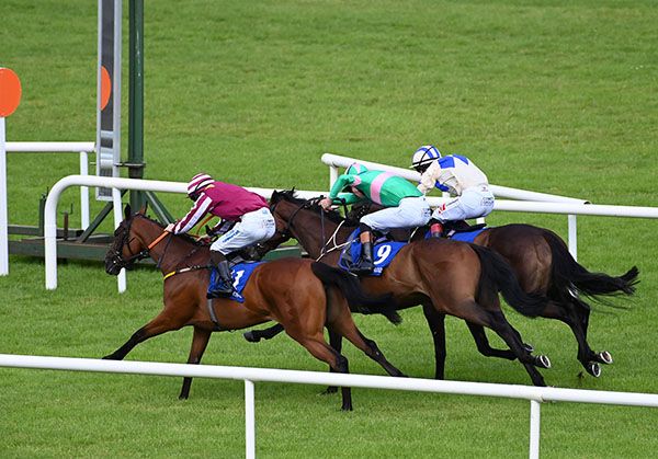 Susie Wosie and Adam Caffrey maroon win the Fairyhouse Claiming Race from Nakassama green and Roman Harry far