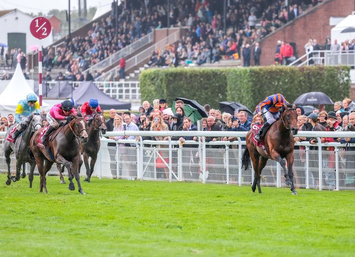 Goodwood 2 August 2023 Qatar Sussex Stakes Group 1 Paddington and Ryan Moore win 