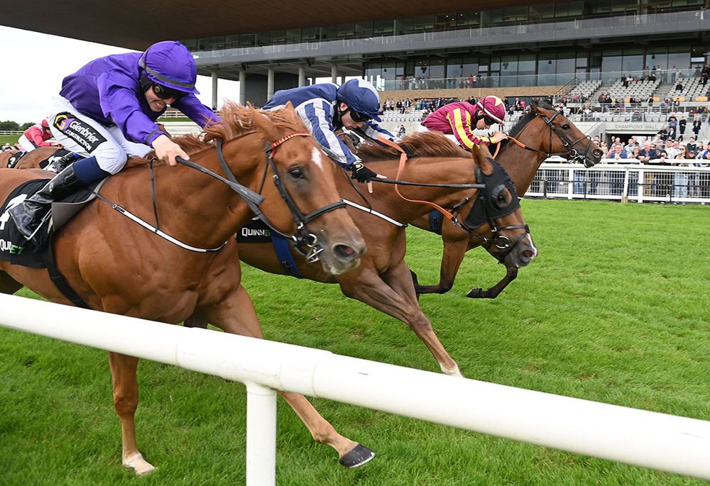 Secret Magician (far side) and Wayne Hassett just come out on top at the Curragh