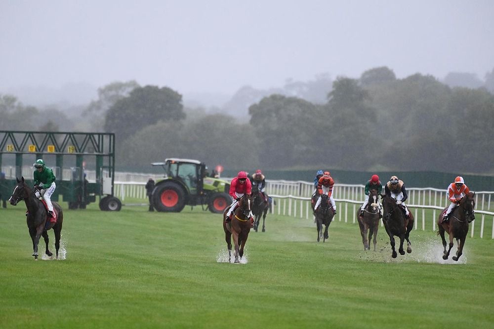 Horses returning to the parade ring after racing was abandoned before the 5th race at Cork