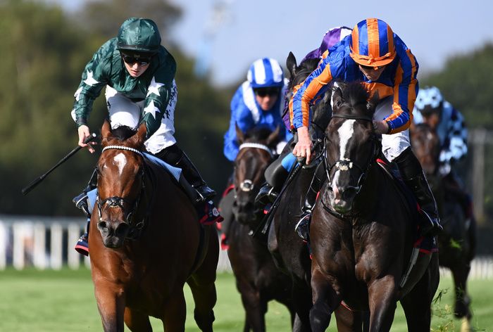Irish Champion Stakes Group 1 winner Auguste Rodin faces a stiff Curragh test at the weekend. 