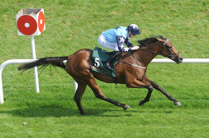 Leopardstown 9 September 2023 Kitty Rose and Billy Lee win for owners Nigel O Hare Gary Devlin Kabin Racing Syndicate and trainer Natalia Lupini Healy