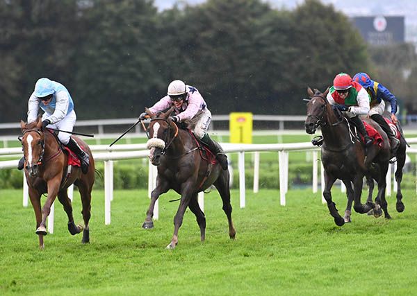 Hutchie (noseband) is ridden out by JJ Slevin to beat Tullyhogue Fort (left)