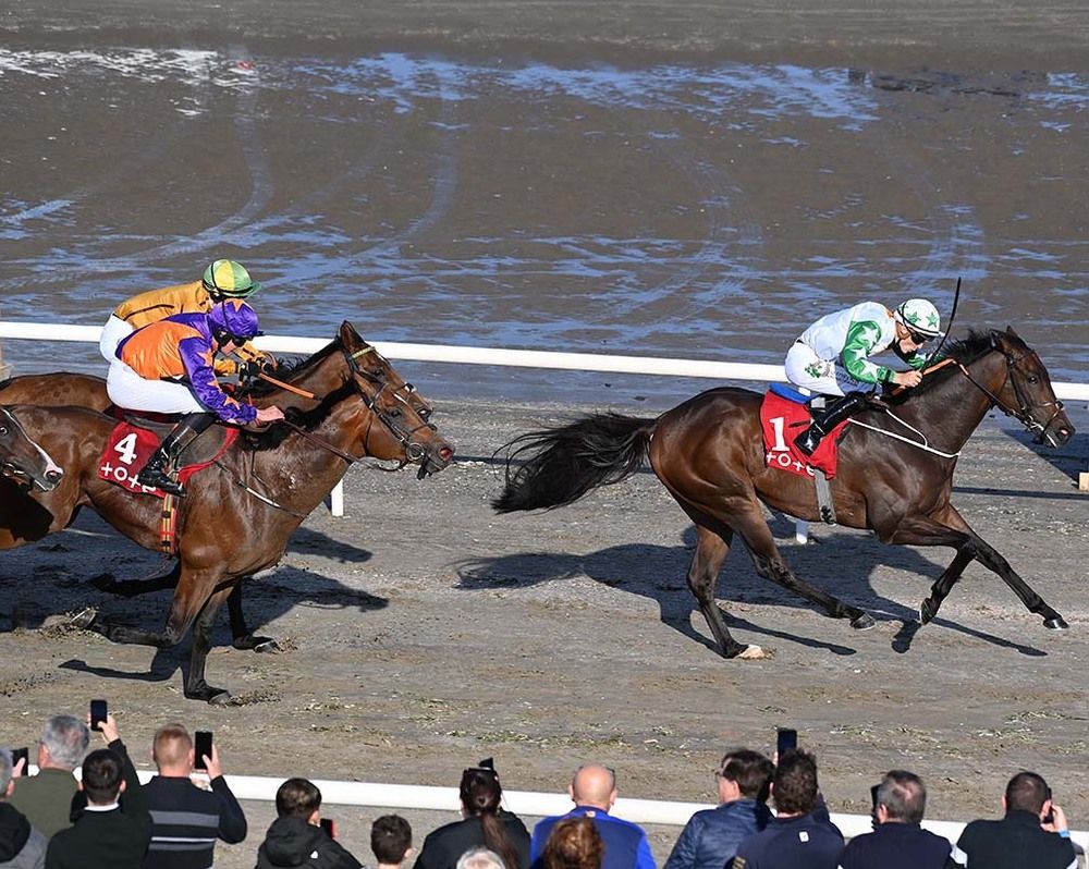 Dream Today wins the opener at Laytown 