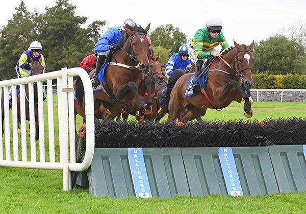 Ballybawn Belter (right) and Charlie O'Dwyer