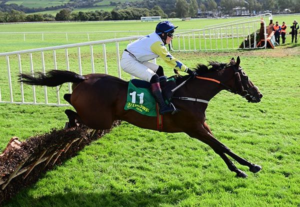 The Shantou King won the opening maiden hurdle at Listowel for Aengus King. 