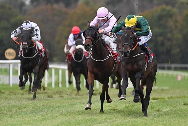 Dont Do Dramas and Billy Lee right win the Golf At Gowran Park Nursery Handicap.