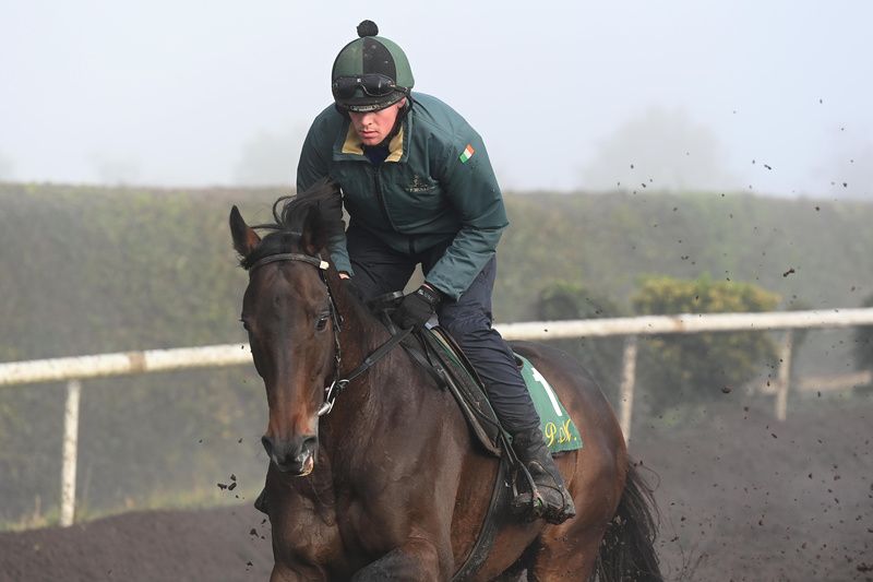 Willie Mullins Closutton Stables 25 October 2023 Allaho and Paul Roche pictured at morning gallops Healy Racing