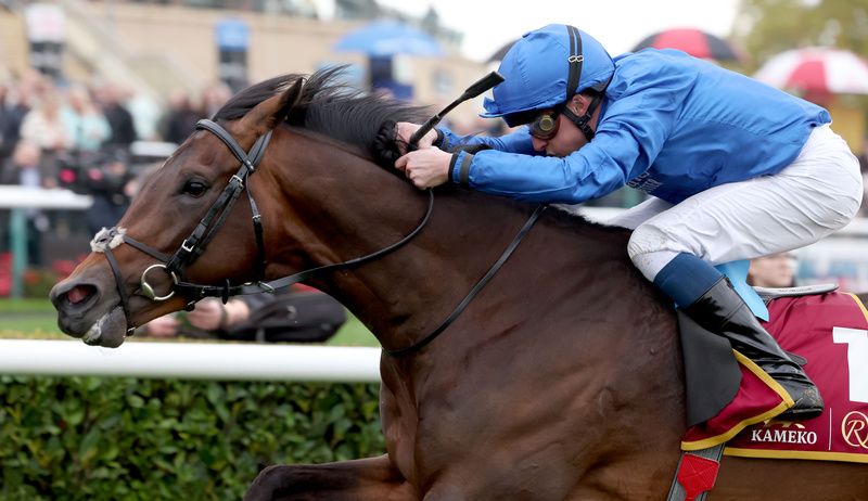 Ancient Wisdom will put his Derby credentials to the test in the Dante Stakes. 