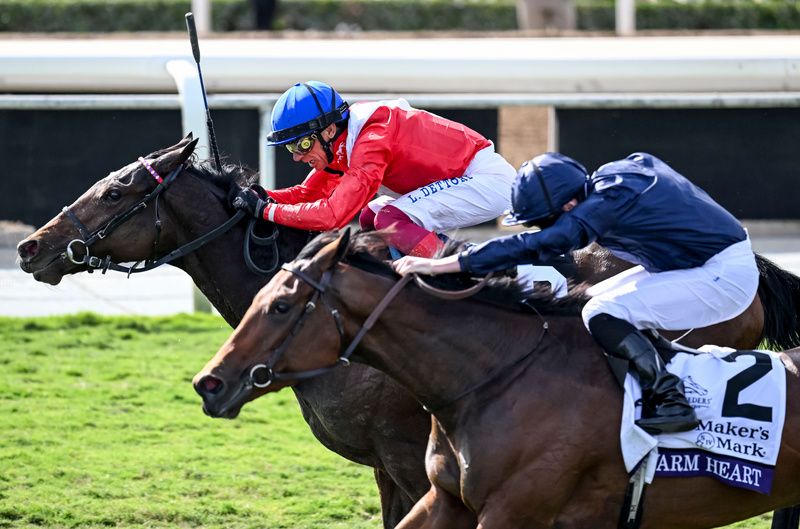 Inspiral and Frankie Dettori winning at the Breeders Cup 