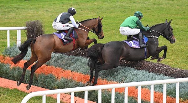 Minella Crooner (left) and Bronn jump an early fence