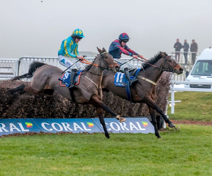 Mahler Mission (nearside) and Datsalrightgino battle it out at Newbury