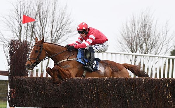 Blood Destiny negotiates another fence in Naas