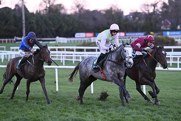 Grey horse Joystick obliges in the finale