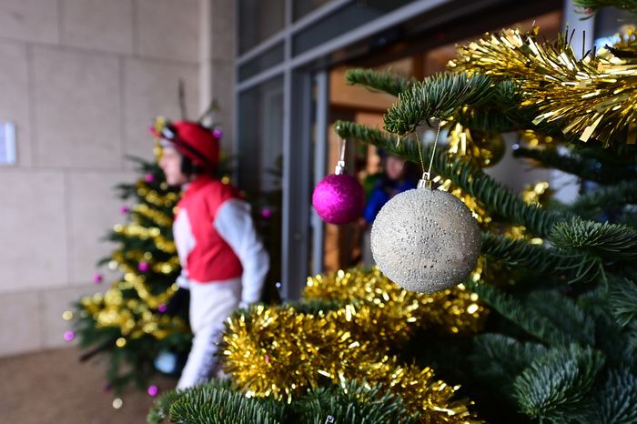 Leopardstown The Christmas Festival Healy Racing