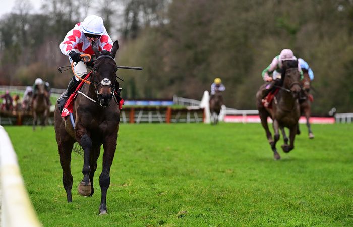Champagne Mahler made all to win at Gowran Park in January