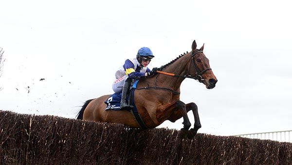 Kings Halo and Danny Mullins