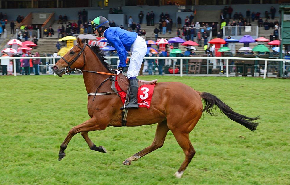 Glen on Hes Our Music in a charity race at Punchestown in May 2015