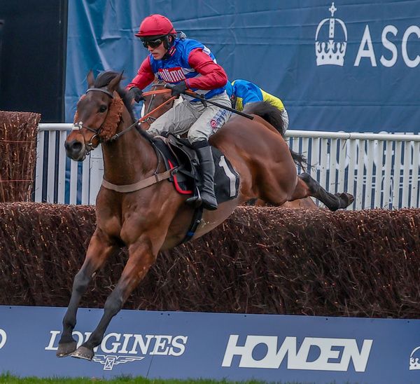 Threeunderthrufive will be a leading hope for trainer Paul Nicholls at Sandown on Saturday