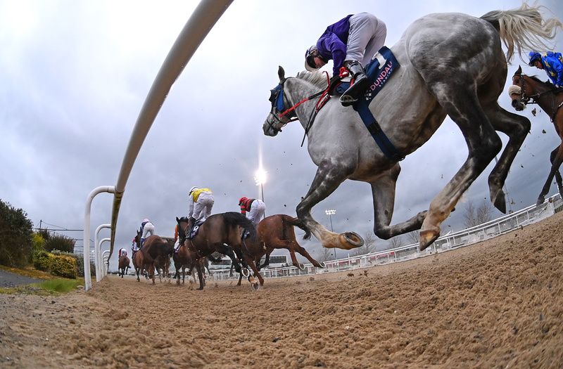 Dundalk stage an afternoon meeting on Thursday. 