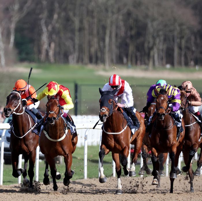 Cloud Cover (red and white) was just beaten at Chelmsford on Sunday