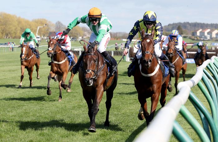 Surrey Quest (right) is narrowly beaten by MacDermott in the Scottish National at Ayr