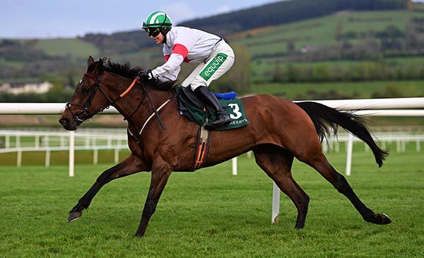 Familiar Dreams makes it four in a row under Aine O'Connor