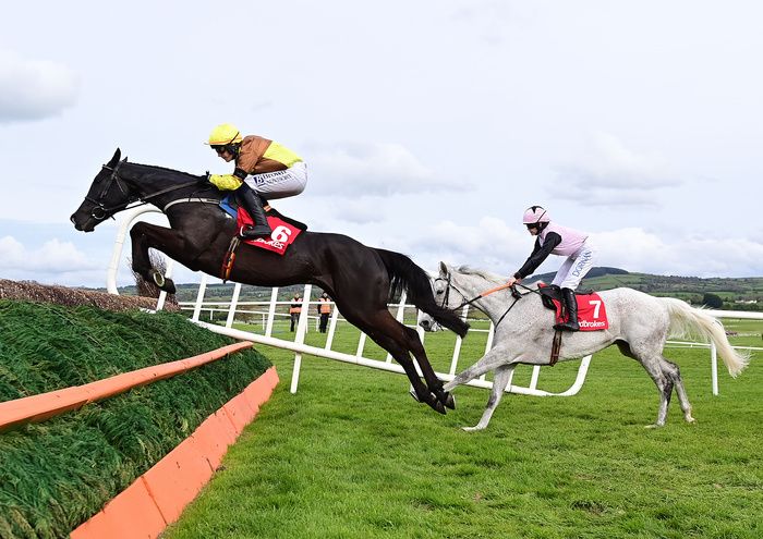 Punchestown 1 May 2024 Ladbrokes Punchestown Gold Cup Galopin Des Champs and Paul Townend Healy Racing