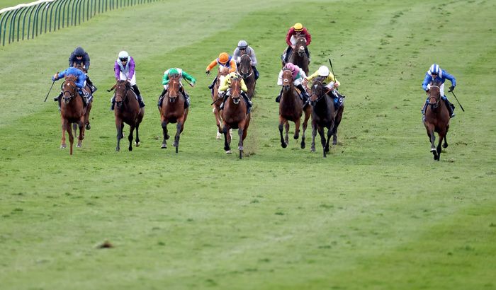 Rosallion and Haatem chased home Notable Speech over the Rowley Mile on Saturday
