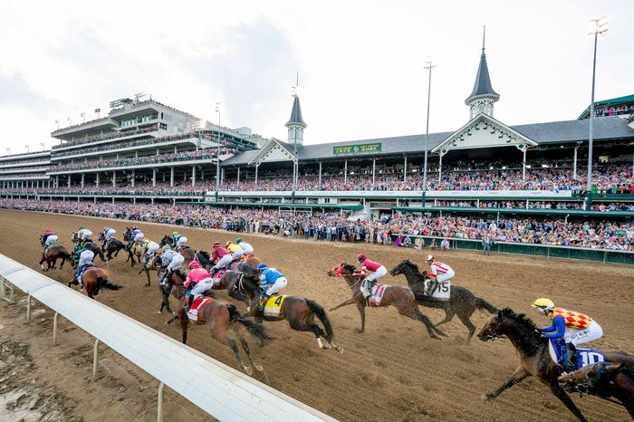 Travis Kelce got involved in racehorse ownership following a visit to Churchill Downs