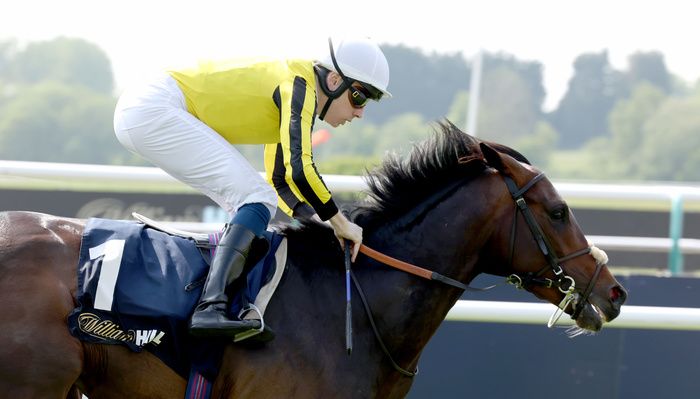 Ambiente Friendly and Callum Shepherd winning The William Hill Lingfield Derby Trial  