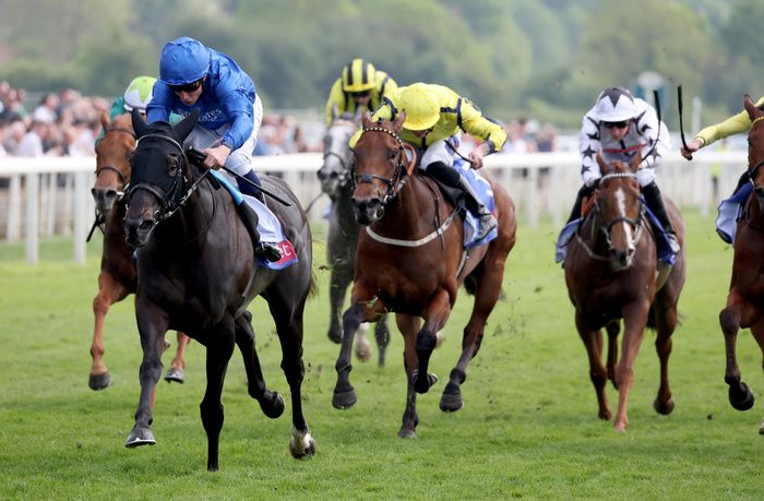 Devoted Queen and William Buick (blue)